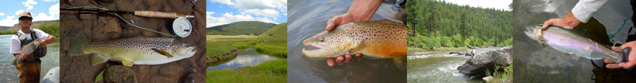 Fly Fishing New Mexico Homepage